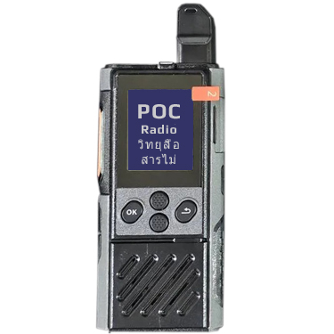 P30 POC India